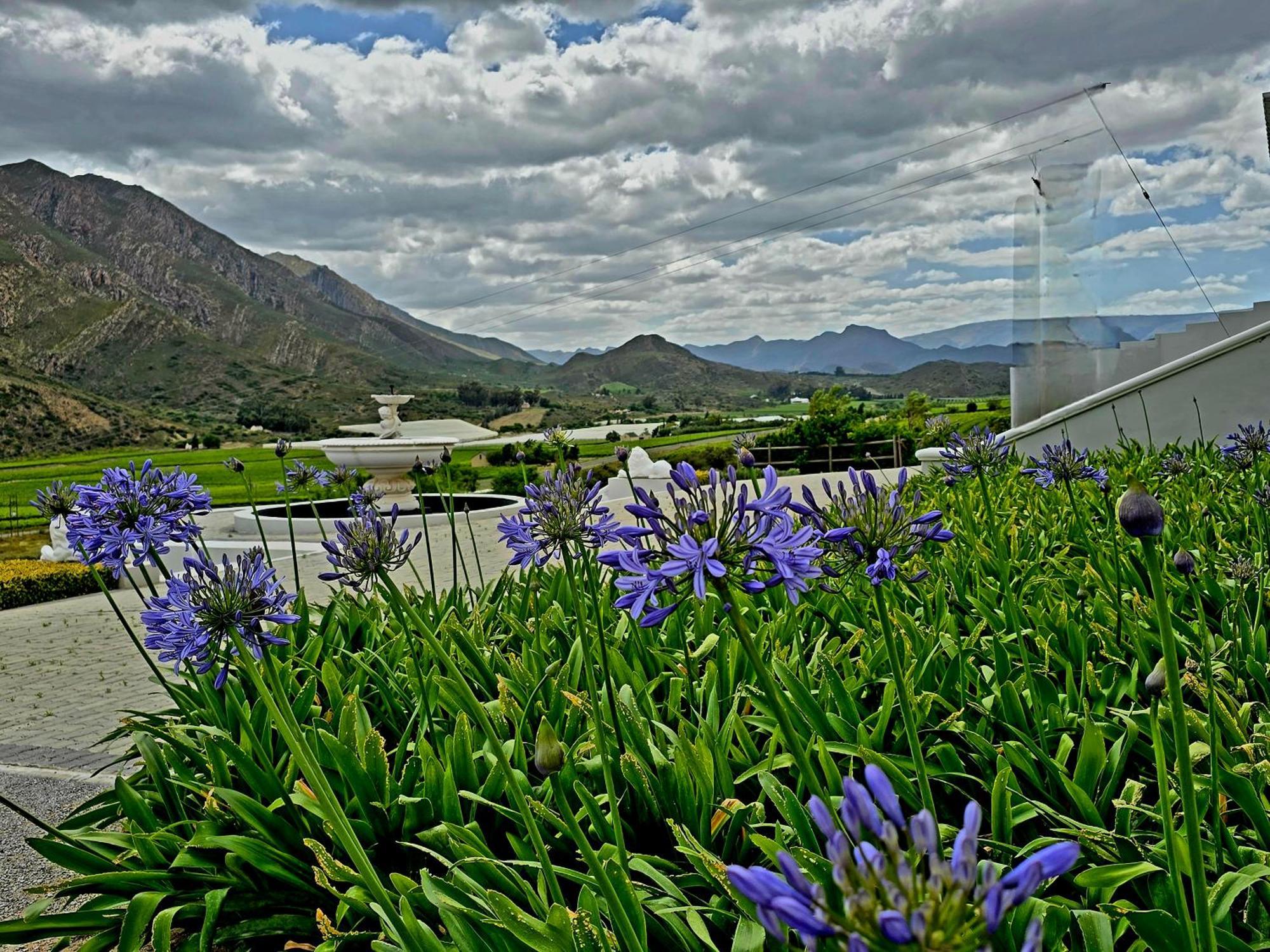Pjure Boutique Hotel & Spa Montagu Exterior foto